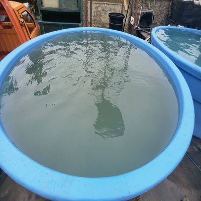 Προσαρμοσμένη σηπτική δεξαμενή 2mm που διαμορφώνει τη φόρμα για την εφαρμογή
